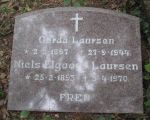 Niels Elgaard Laursen.jpg